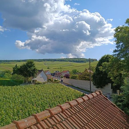 Gite Independant Diz'Enreves Au Coeur Des Vignes 迪斯 外观 照片
