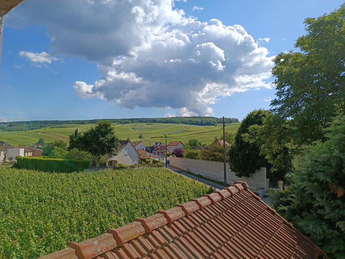 Gite Independant Diz'Enreves Au Coeur Des Vignes 迪斯 外观 照片